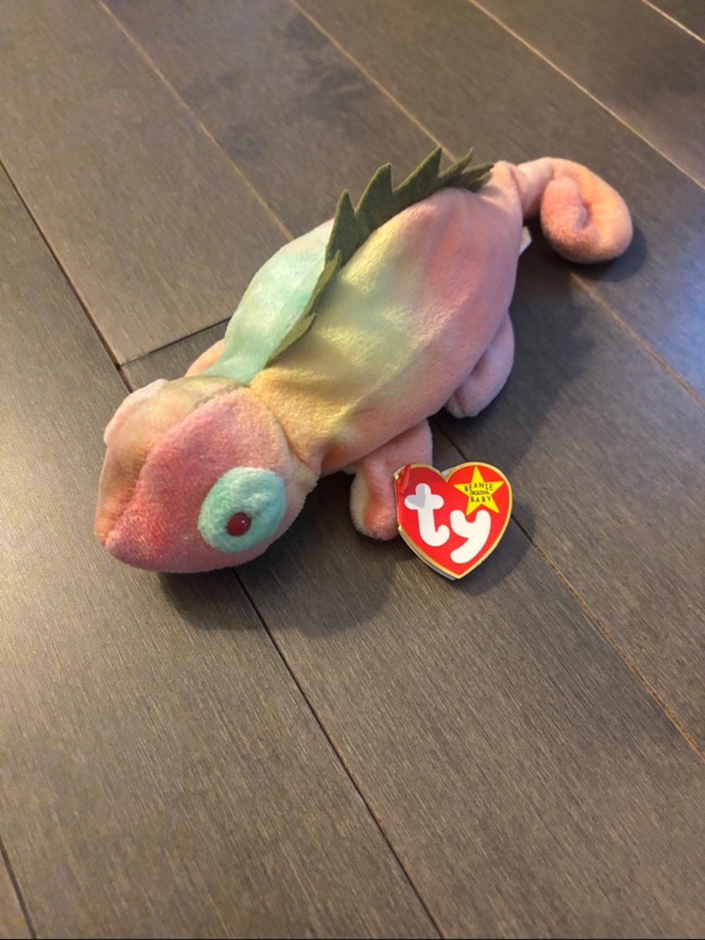 Ty Pastel Iggy Beanie Plush